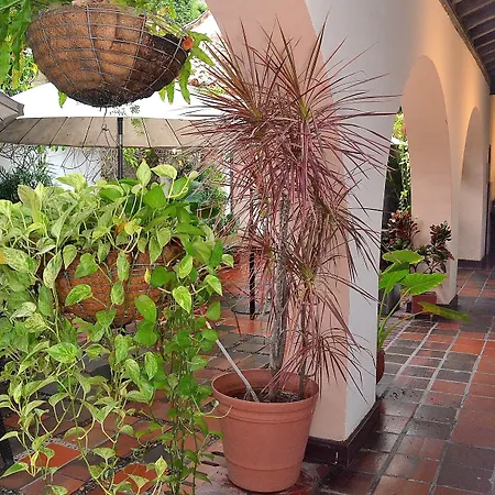 Puertas De 3* Cartagena