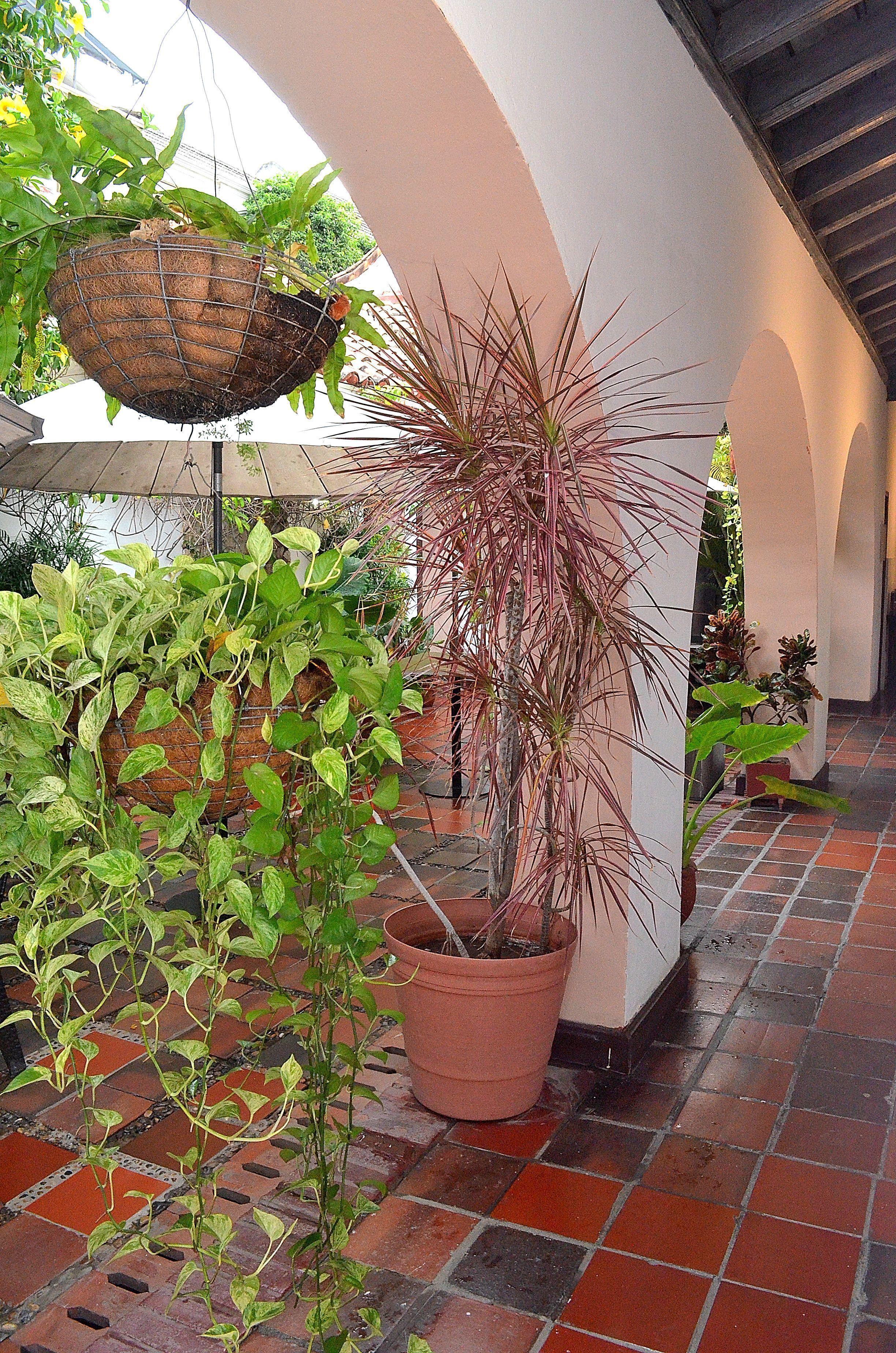 Puertas De 3* Cartagena